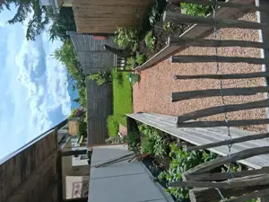 Wir sind auf der Suche nach einer Baby Katze