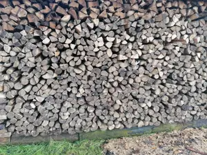  5 Meter Brennholz Esche Buche. 