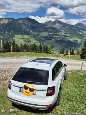 skoda octavia scout