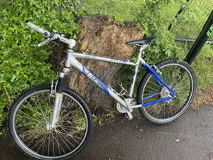 Mountainbike Genesis Beta ASX Alu Tec Bild 3