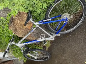 Mountainbike Genesis Beta ASX Alu Tec Bild 2