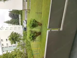 4 Zimmer wohnung in wolfurt  Bild 4