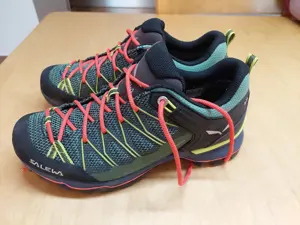 Wanderschuh Trekkingschuh von Salewa 