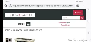 Dauerbrandofen Haas und Sohn,   gusseisern Bild 2