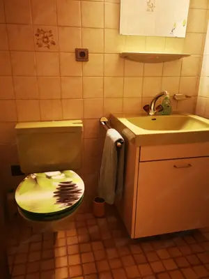 Charmante 3 Zimmerwohnung in Frastanz Bild 7
