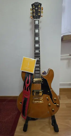 gitarre Electrik und acustik Bild 6