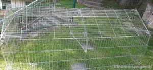 Hasengehäge