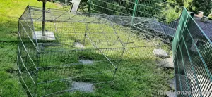 Hasengehäge Bild 2