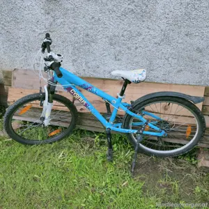 fahrrad 24 Zoll Kinder 