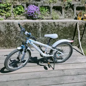 Fahrrad 20 Zoll Kinder 