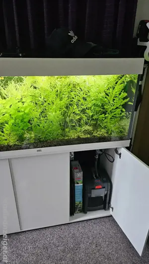 Verkaufen aquarium  Bild 2