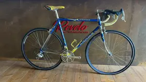 Vintage Rennrad De Franceschi - wie Moser - Colnago - Gr. 55