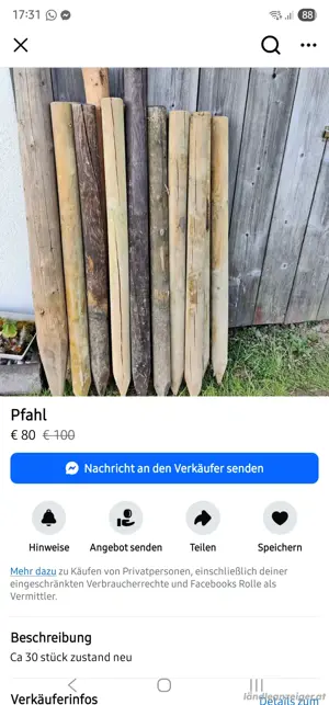 Holzpfahl 