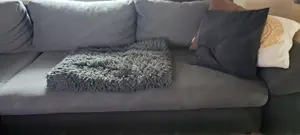 Verschenke Couch mit Bettkasten und Schlaffunktion Bild 2