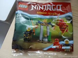 Lego Ninjago 30650