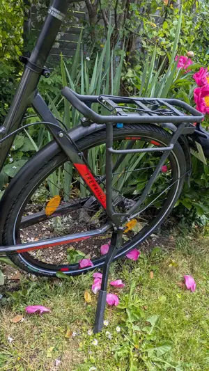 Haibike Trekking S9 56cm 750Wh 45km h S-Pedelec Bild 6