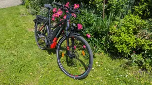 Haibike Trekking S9 56cm 750Wh 45km h S-Pedelec Bild 3