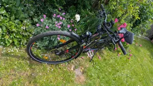 Haibike Trekking S9 56cm 750Wh 45km h S-Pedelec Bild 2