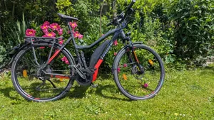 Haibike Trekking S9 56cm 750Wh 45km h S-Pedelec Bild 5