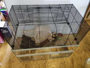 Hamsterkäfig Bild 2