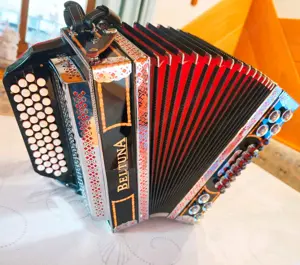 Steirische Harmonika Beltuna mit Vollmidi Bild 2