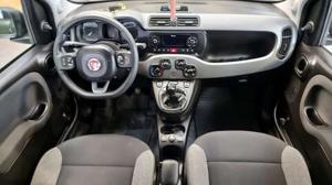 Fiat Panda Bild 13