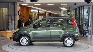 Fiat Panda Bild 7