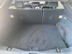 Ford Mustang Bild 14