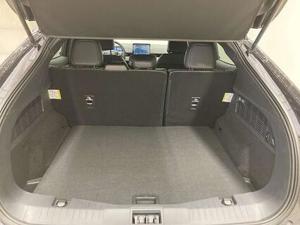 Ford Mustang Bild 14