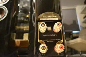 Dali Epicon 6 Lautsprecher in Schwarz Bild 6