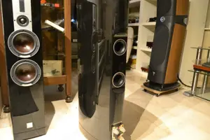 Dali Epicon 6 Lautsprecher in Schwarz Bild 10