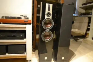 Dali Epicon 6 Lautsprecher in Schwarz Bild 7