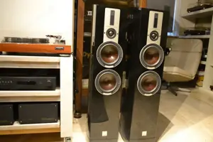 Dali Epicon 6 Lautsprecher in Schwarz Bild 8
