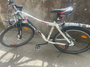 Mountainbike  Bild 5