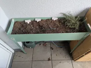 Hochbeet für Kräuter