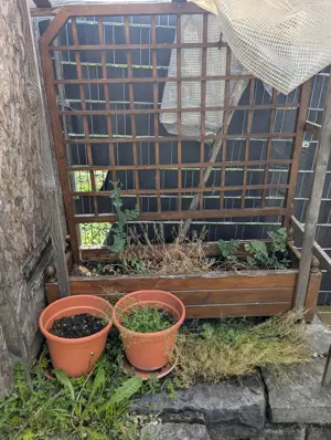 Tomatenbeet (mit Abdeckung)