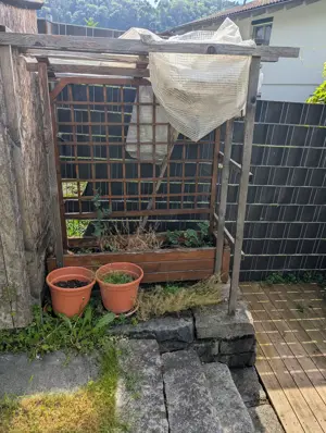 Tomatenbeet (mit Abdeckung) Bild 2