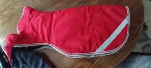 Hundemantel BUCAS rot und braun  Bild 8