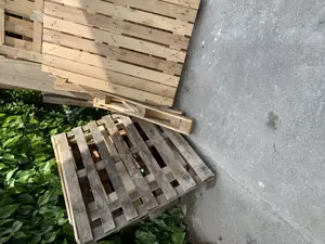 Brennholz für Feuerschale 