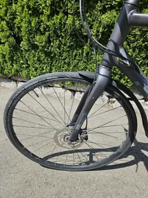 Focus 28 Zoll  Bild 3