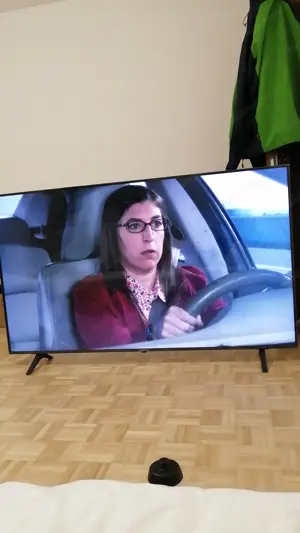LG Fernseher 65 Zoll NEU