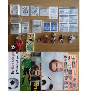 Panini Fußball Stickeralben und Sticker 2006 - 2018 Bild 10