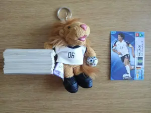 Panini Fußball Stickeralben und Sticker 2006 - 2018 Bild 2