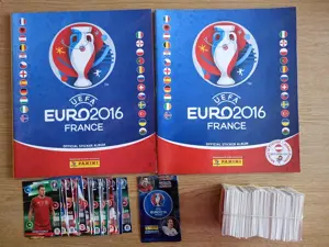 Panini Fußball Stickeralben und Sticker 2006 - 2018 Bild 7