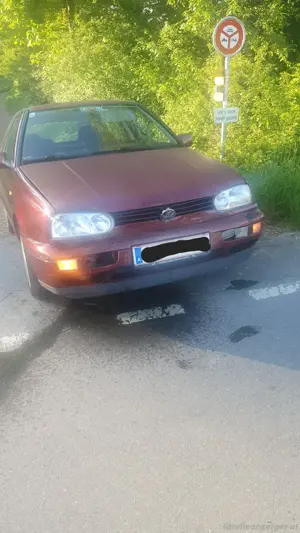 Golf 3 Avenue Bild 3