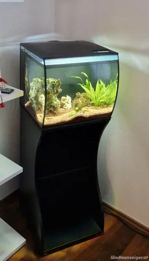 Kleines Aquarium Fluval Flex 57l komplett mit Unterschrank