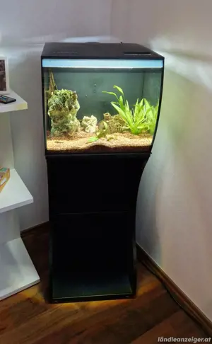 Kleines Aquarium Fluval Flex 57l komplett mit Unterschrank Bild 2