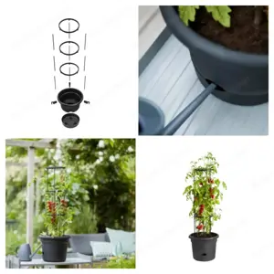 Elho Green Basics   33 cm living schwarz Bild 2