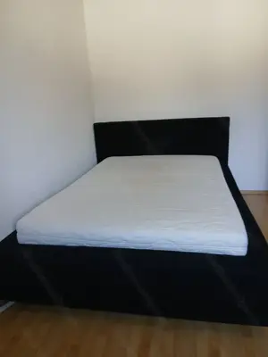 Samtbett 160 x200CM günstig abzugeben