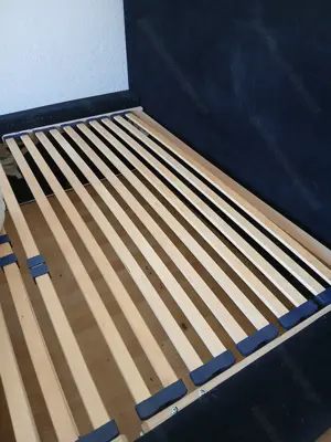 Samtbett 160 x200CM günstig abzugeben Bild 5